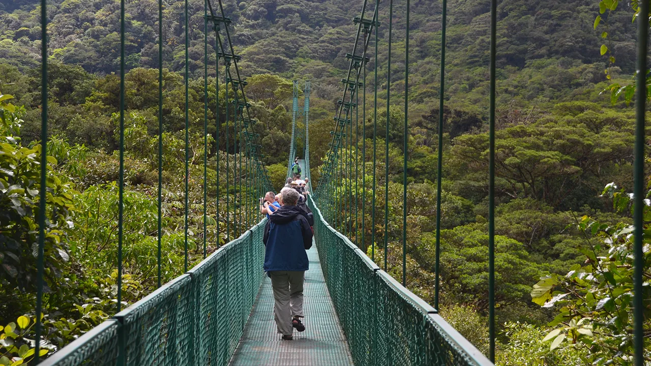 Vi går på en hængebro over trækronerne med grønt til alle sider. Foto Hanne Christensen