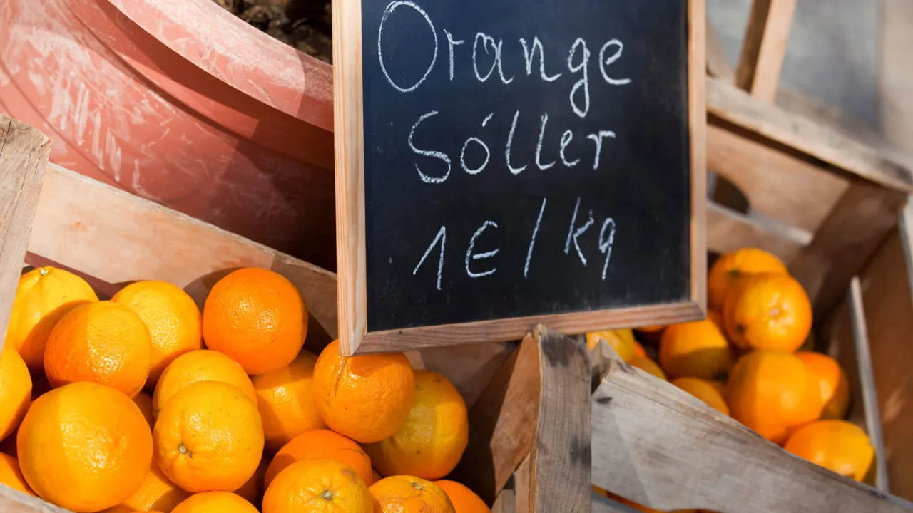 Soller er kendt for deres velsmagende appelsiner. Foto Viktors Farmor