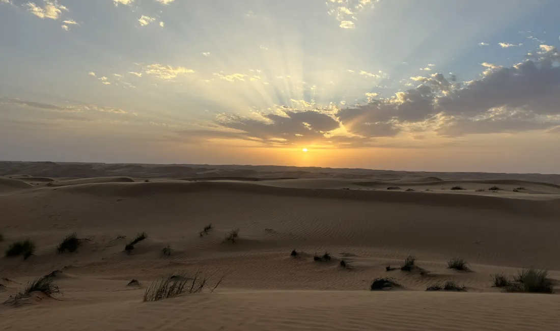 Ved solnedgangens magiske time indhylles Wahiba Sands i et varmt, gyldent skær. Foto Ellen Brzost Lindby-Andersen