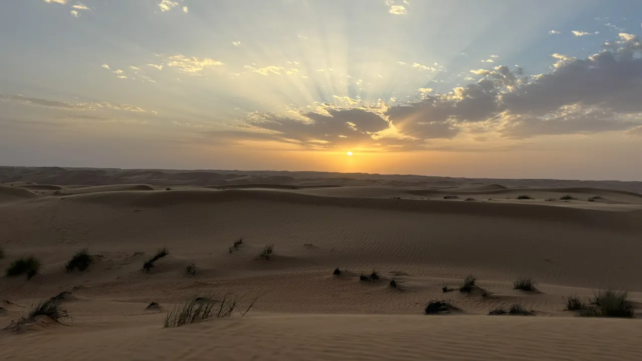 Ved solnedgangens magiske time indhylles Wahiba Sands i et varmt, gyldent skær. Foto Ellen Brzost Lindby-Andersen