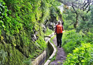 Levada de Canical. Foto Lene Bach Larsen