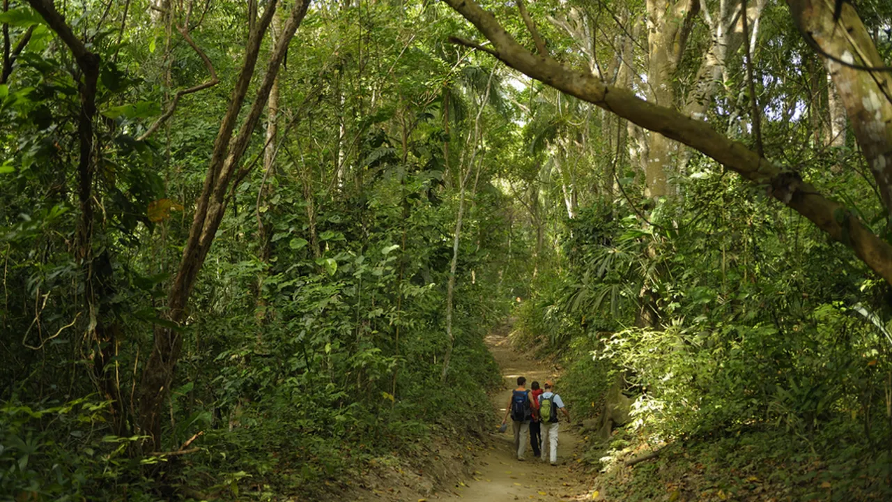 I Tayrona nationalparken vandrer vi gennem den tropiske regnskov. Foto Christian Heeb