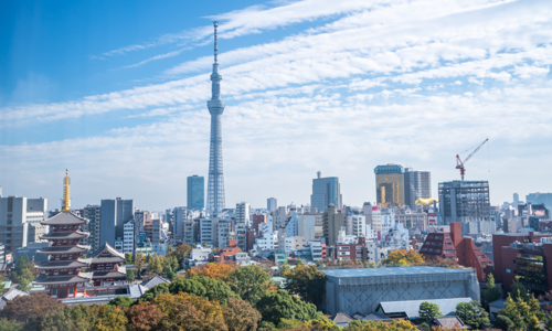 Med en befolkning på ca. 37 millioner indbyggere er Japans hovedstad Tokyo verdens største by. Foto Viktors Farmor