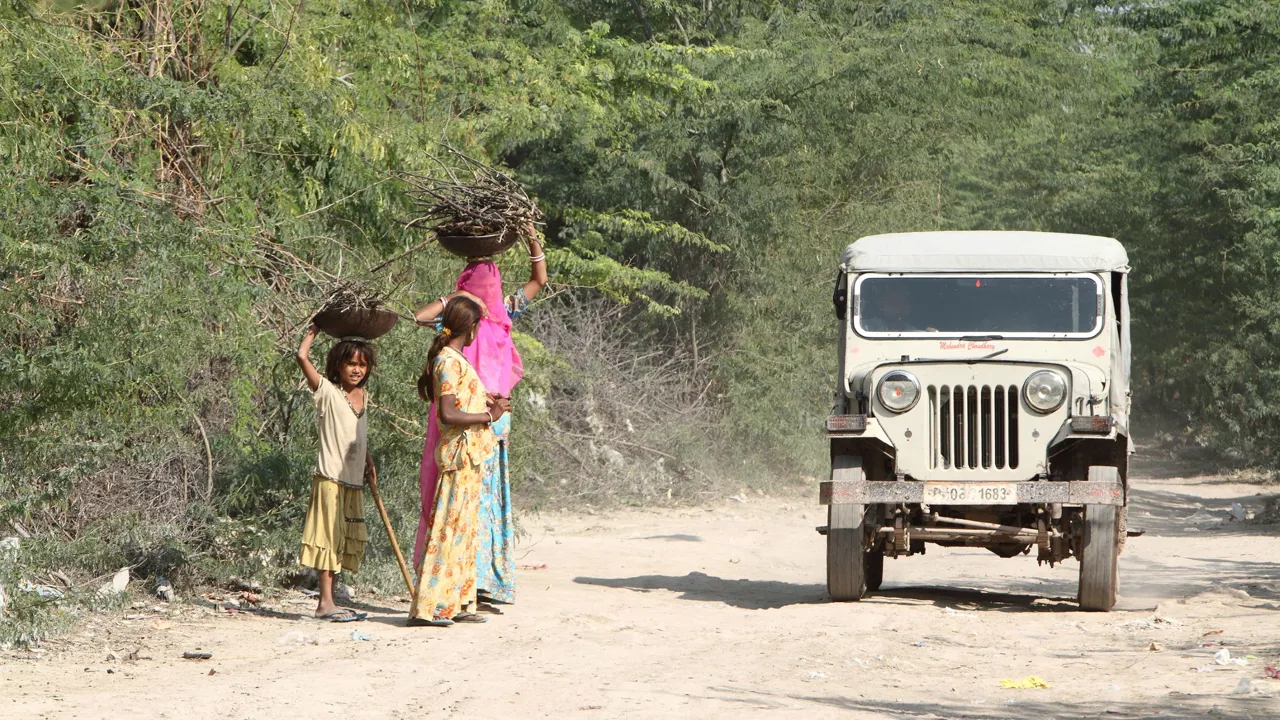 3 vi oplever livet på landet i Rajasthan. Foto af Anders Stoustrup