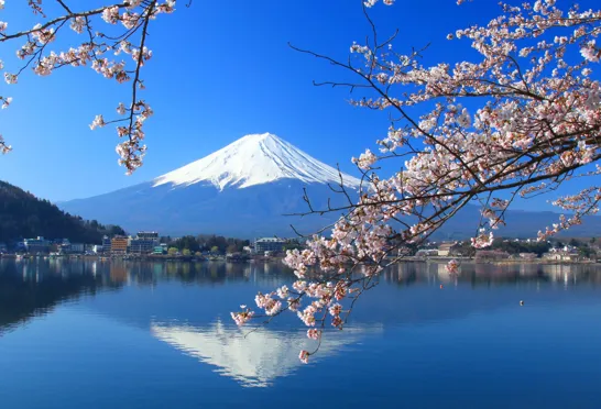 Fuji-bjerget er Japans højeste punkt og et meget smukt syn. Foto Viktors Farmor