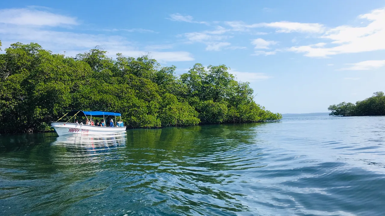 Afslappet sejltur i mangroven, der omkranser nogle af Bocas del Toro-øerne. Foto Lone Vestergaard Andersen