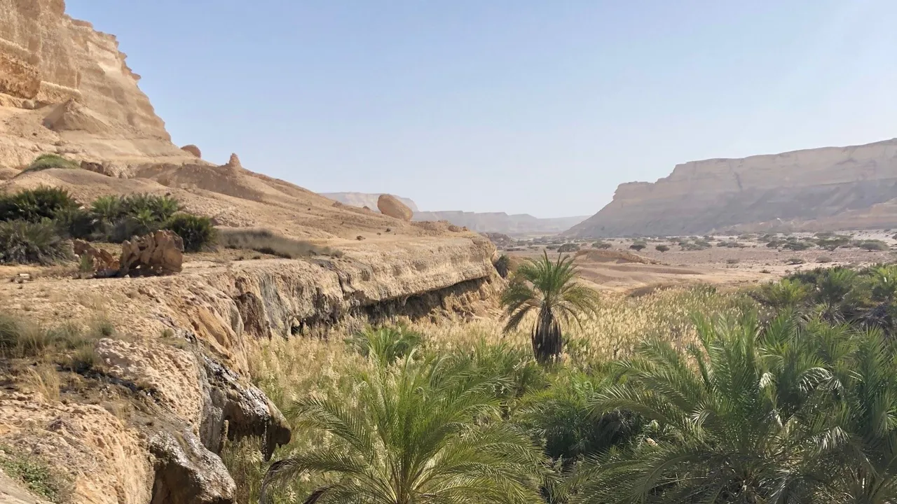 Vi kommer undervejs til mange skønne oaser, såkaldte wadier - her er det Wadi Shuwaymiyah. Foto Nette Kornerup