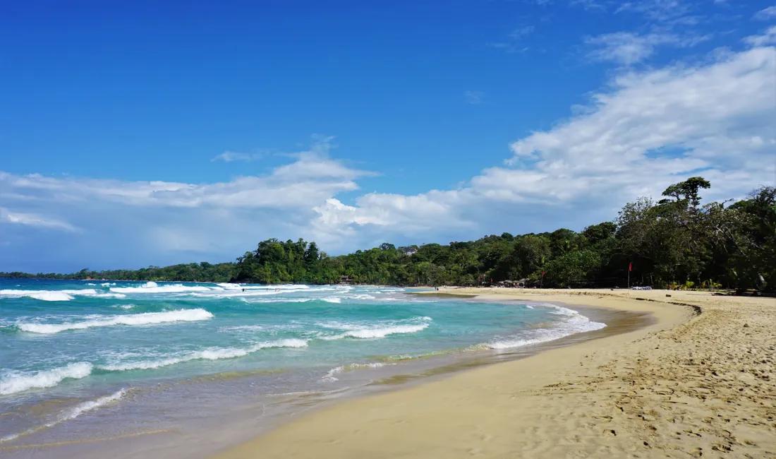 Nyd de utrolige strand i Bocas Del Toro området. KathrineSvejstrup
