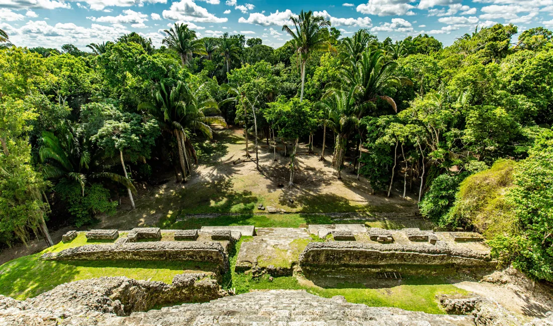 I Belize findes nogle af de største mayaruiner ved Lamanai, det ligger tæt ved  den frodige regnskov. Foto Viktors Farmor