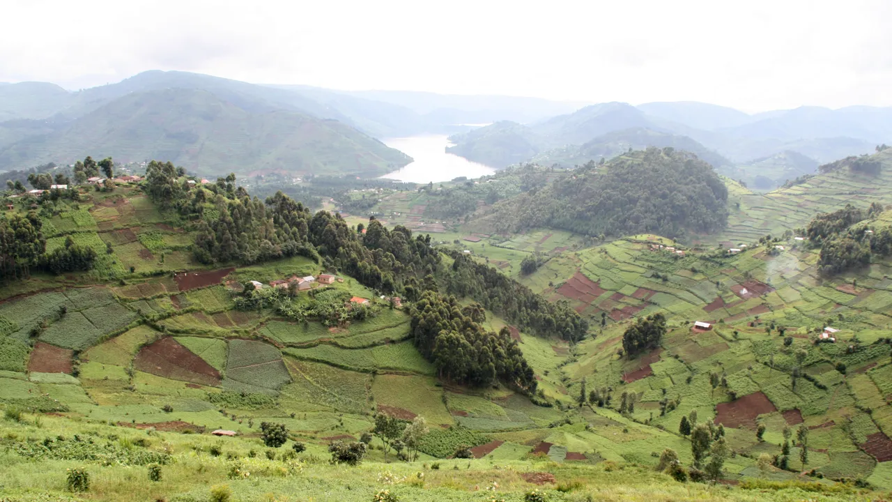 Rundt om Lake Bunyonyi ligger små landsbyer op af de stejle skråninger. Foto Michael Andersen
